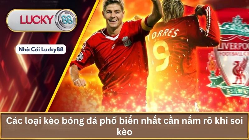 Các loại kèo bóng đá phổ biến nhất cần nắm rõ khi soi kèo