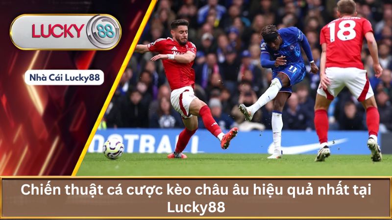 Chiến thuật cá cược kèo châu âu hiệu quả nhất tại Lucky88