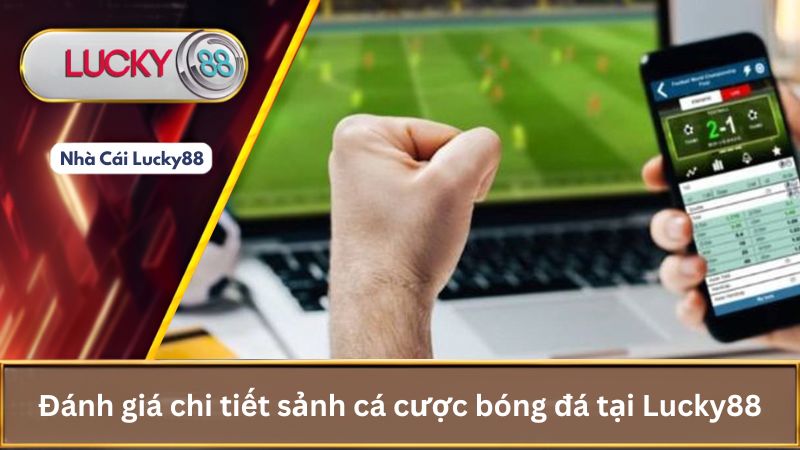Đánh giá chi tiết sảnh cá cược bóng đá tại Lucky88