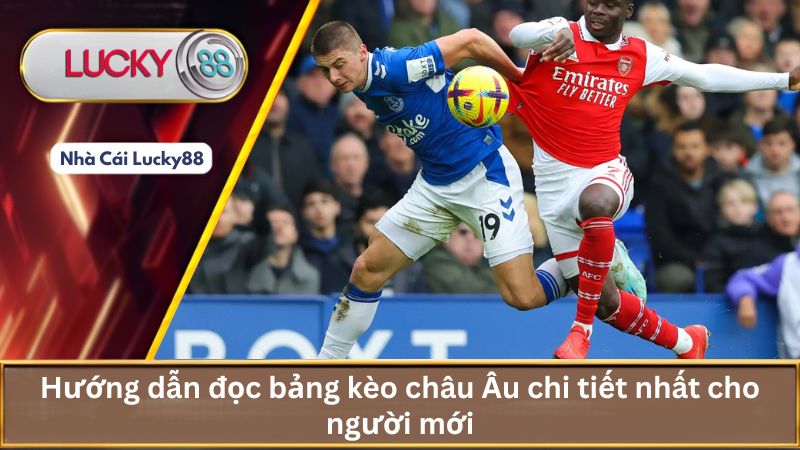 Hướng dẫn đọc bảng kèo châu Âu chi tiết nhất cho người mới