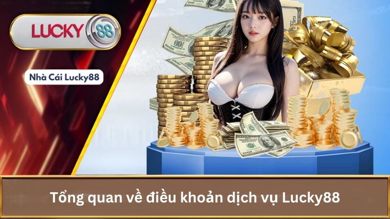 Tổng quan về điều khoản dịch vụ Lucky88