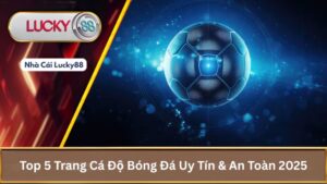 Top 5 Trang Cá Độ Bóng Đá Uy Tín & An Toàn 2025